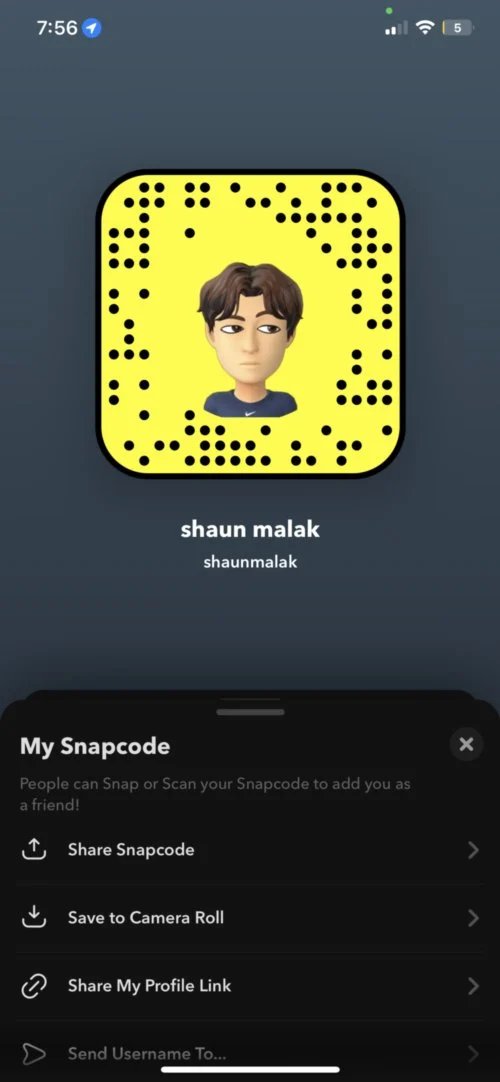 fag shaun malak exposed Amateur Gay Porn Pictures And Stories 